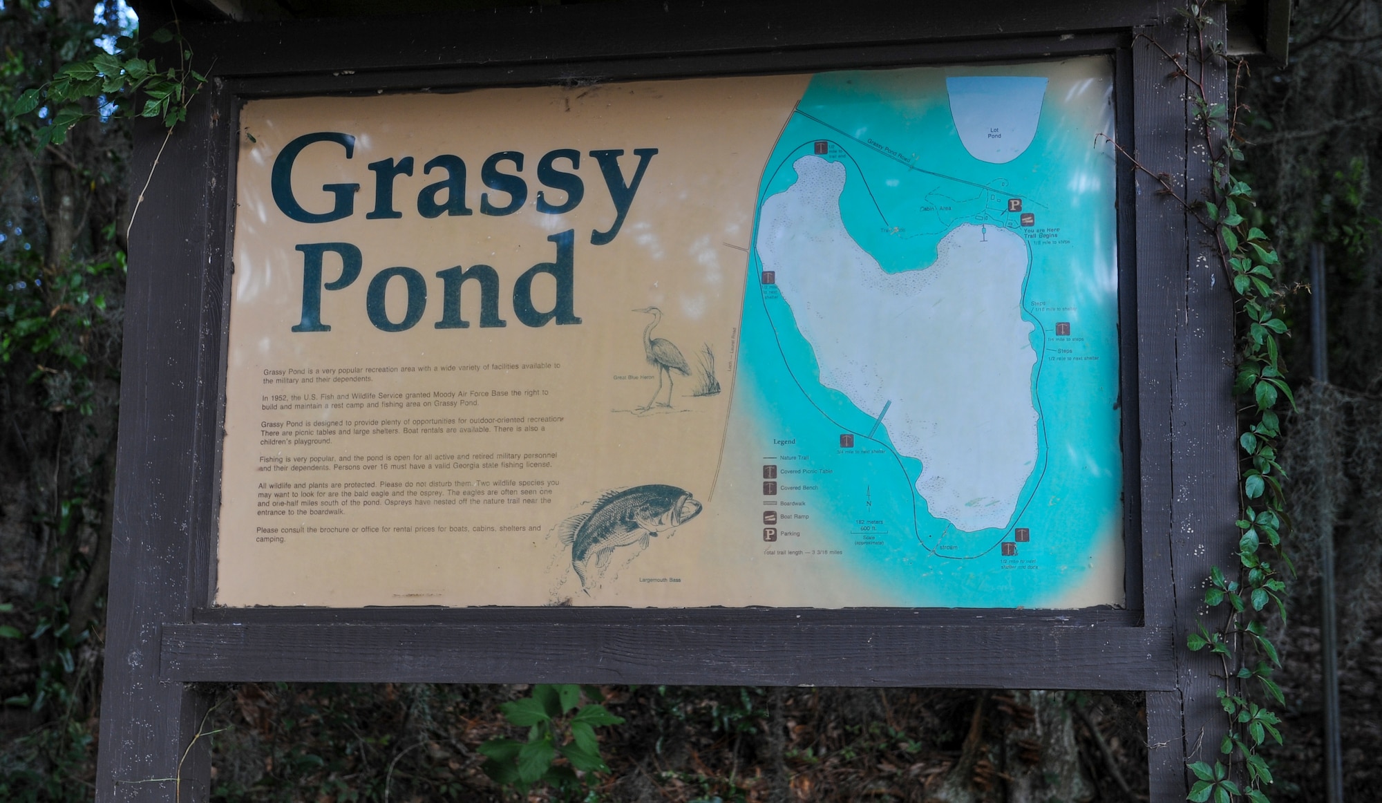 A map is located at the beginning of the 3.1 mile nature trail at Grassy Pond Lakeland, Ga. Hiking is one of the many activities offered to active duty military, retirees and DOD civilians at Grassy Pond. (U.S. Air Force Photo by Airman Alexis Grotz/Released)