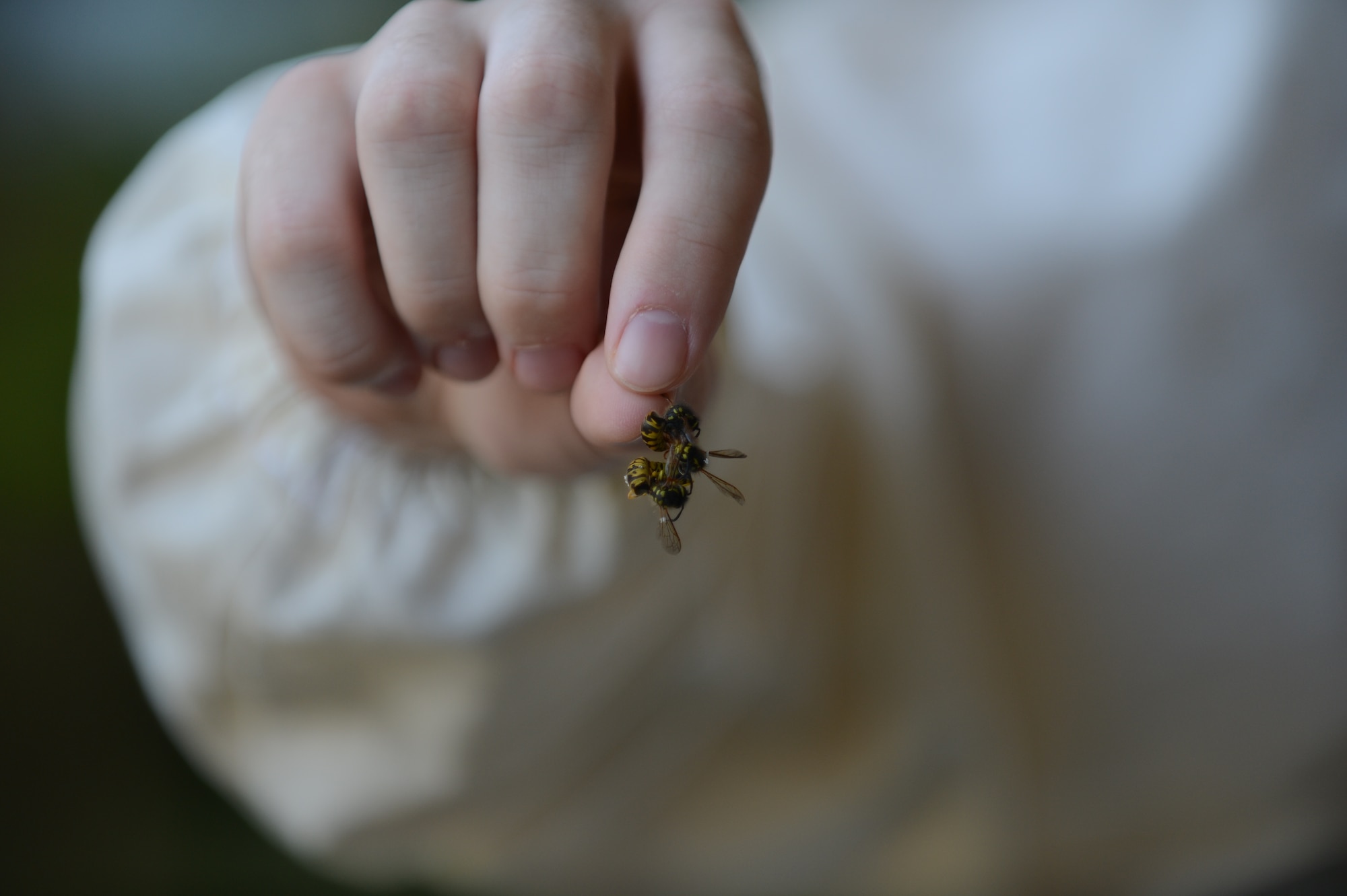 SPANGDAHLEM AIR BASE, Germany – U.S. Air Force Airman 1st Class Dustin Pavlenko, 52nd Civil Engineer Squadron pest controller from Moorcroft, Wyo., holds wasps after spraying a wasp nest July 23, 2013. Pest control helps prevent issues with pests or unwanted animals that could be detrimental to either the mission or the health and welfare of base residents. (U.S. Air Force photo by Airman 1st Class Gustavo Castillo/Released) 
