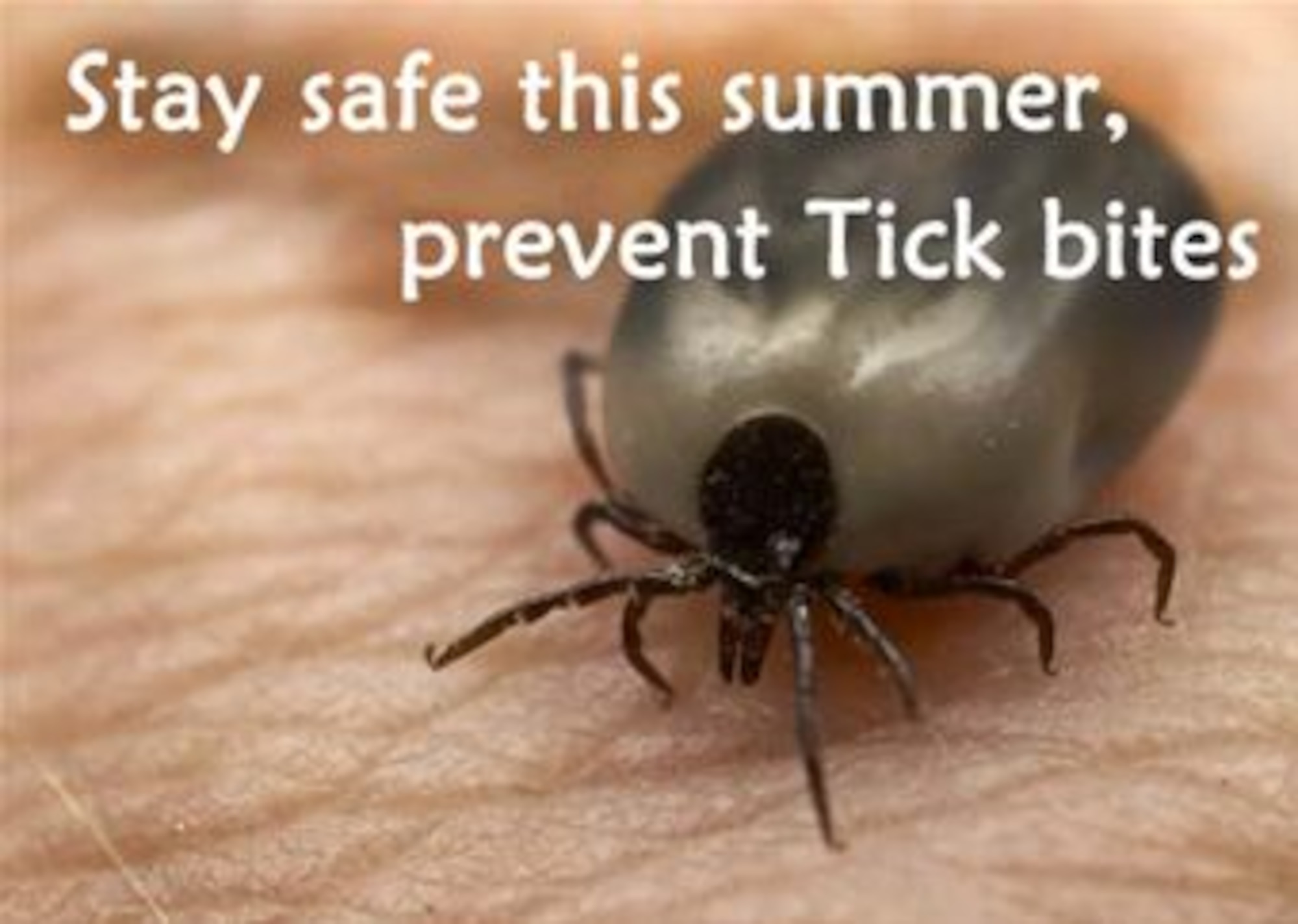 Ticks can be a serious problem  during the summer months, especially in the Republic of Korea. Make sure to keep yourself, family and pets safe by taking a few steps to prevent and treat the insect bites before you get "ticked off." (Courtesy Graphic released)