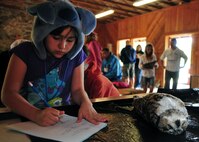 Carrilyn, a fourth grader from Michael Anderson Elementary School, writes down facts about the horned owl, which is found in many parts of the world during the science session May 30, 2013, at Michael Anderson Elementary School’s annual overnight camping trip at YMCA Camp Reed. Students learned what habitats certain animals live in, why they have certain attributes such as the horned owls’ sharp claws, which are used to grab prey as it swoops down. (U.S. Air Force photo by Senior Airman Earlandez Young/Released)   