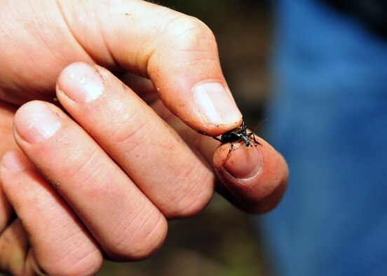 Senior Airman Christian Martin, Survival, Evasion, Resistance and Escape specialists, holds on tight to a squirmy beetle during the wilderness survival session May 30, 2013, at Michael Anderson Elementary School’s annual overnight camping trip at YMCA Camp Reed. Fairchild SERE specialists taught students about insects that are safe to eat. The insect has to have six legs and a head. The head of the insect has to be detached before the insect is eaten. (U.S. Air Force photo by Senior Airman Earlandez Young/Released)   