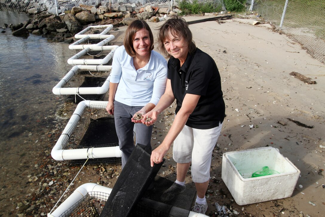 FORT NORFOLK, VA - Geographer Karin Dridge (right) from the Norfolk District, U.S. Army Corps of Engineers, and Jessica Grell from Seatack Elementary School in Virginia Beach, add baby oysters to a bag that will be placed in Taylor Floats.  Grell, a 4th grade teacher at Seatack Elemtary, donated 14,000 baby oysters, or spat.  The data compilation by Grell’s fourth grade students will begin next week with a baseline data collection and continue until next June 2013. At that time, these district oysters will be of sufficient size and will once again placed on the breakwater reef. 