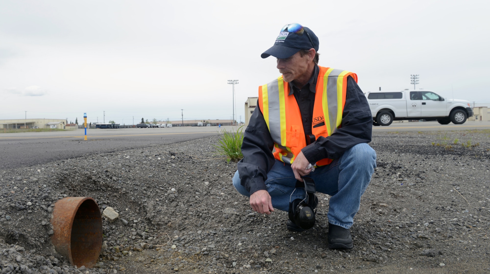 JOINT BASE ELMENDORF-RICHARDSON, Alaska -- Jerry Morrill, U.S. Department of Agriculture Bird/Wildlife Aircraft Strike Hazard program, searches for potential wildlife on the Joint Base Elmendorf-Richardson flightline June 3. The B.A.S.H. program was contracted by the Air Force to aid in the prevention of aircraft incidents due to wildlife hazards. (U.S. Air Force photo/Airman Ty-Rico Lea)