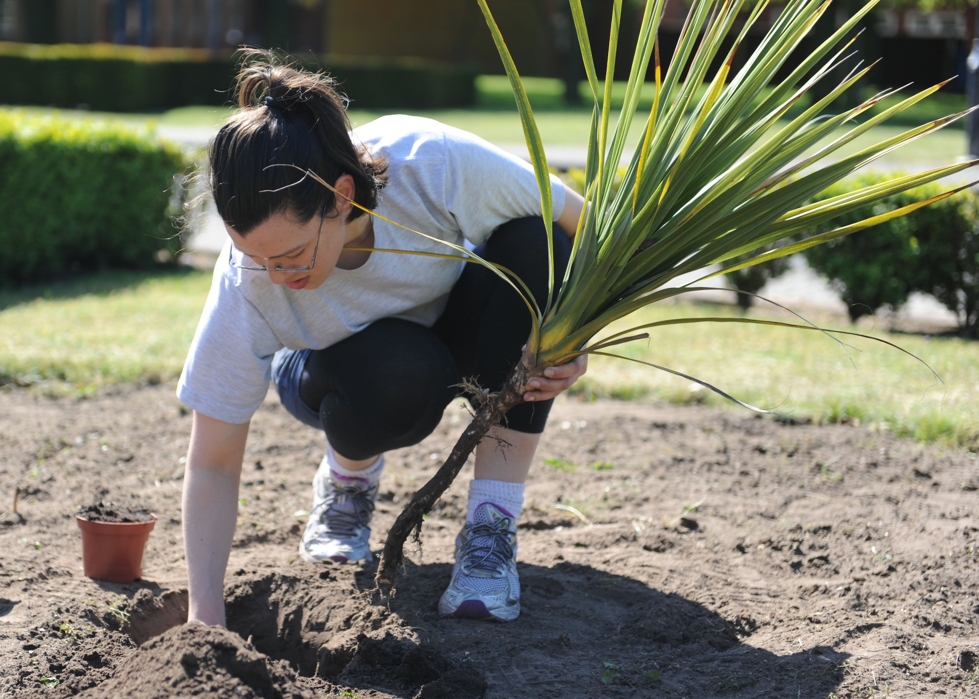 Staff Sgt. Xiomara Torres-Diaz, 100th Air Refueling Wing knowledge operator, transplants a sweet flag plant June 7, 2013, at RAF Mildenhall England. Torres-Diaz and other members of the 100th ARW wing staff agencies pulled and raked weeds in front of the wing headquarters building as part of a base clean-up. (U.S. Air Force photo by Airman 1st Class Preston Webb/Released)