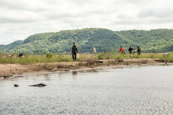 Planting crew spreads out across the island to plant seedlings