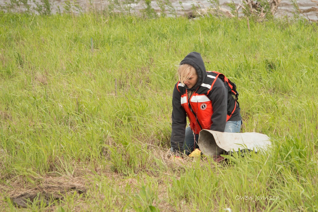 Volunteers representing, the Student Conservation Association, School on the Prairie from Holmen, Wis., as well as the U.S. Fish and Wildlife Service and Corps employees, converged on Little Hoot Island on the Mississippi River in Pool 8 near Brownsville, Minn., to plant 750 tree and shrub seedlings, on May 23, 2013. Here, Corps of Engineers Pathways Intern Kaecey Jertson plants a seedling 