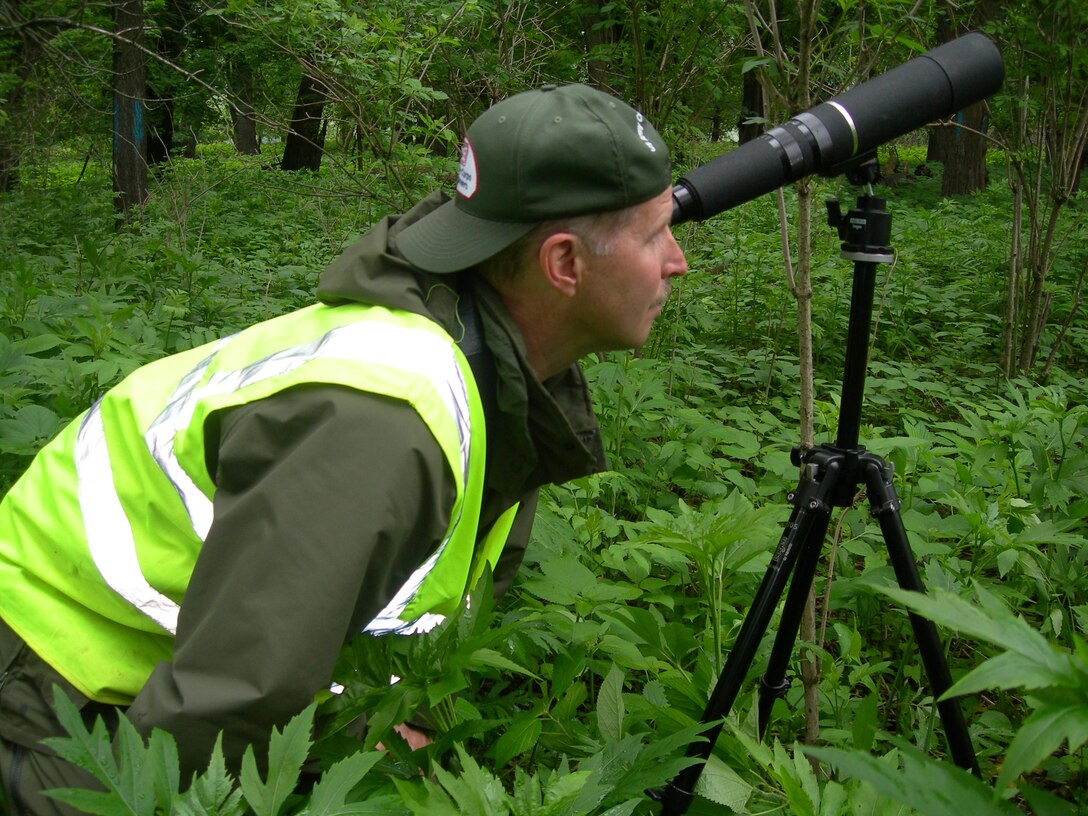 Ray Marinan, a natural resource specialist with the St. Paul District observes a bald eagle with a spotting scope. He is monitoring for any signs of disturbance to eagles as a result of reforestation activities in the area.