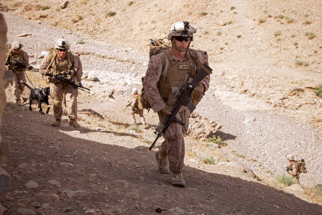 U.S. Navy Petty Officer 3rd class Cameron Kirk, right, fellow Marines and Cane, a military working dog, patrol during Operation Nightmare in Nowzad in Afghanistan's Helmand province, June 6, 2013. Kirk, a hospital corpsman, is assigned to Fox Company, 2nd Battalion, 8th Marines, Regimental Combat Team 7.