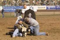 The "J6 Cyber Range Riders" wild cow milking team from North American Aerospace Defense Command and U.S. Northern Command finished second in preliminary competition at the Pikes Peak or Bust Rodeo in Colorado Springs, Colo., on July 11, 2008. Team members are: Army Sgt. Maj. Archie Ramos (milking cow), Navy Chief Petty Officer Shawn Wise (sitting), Senior Master Sgt. Pete Palmer (standing) and Army Col. Michael Curry (kneeling). The team placed second in the rodeo finals the next day. The rodeo is a charitable organization dedicated to funding programs and services that benefit local military personnel and their families. 