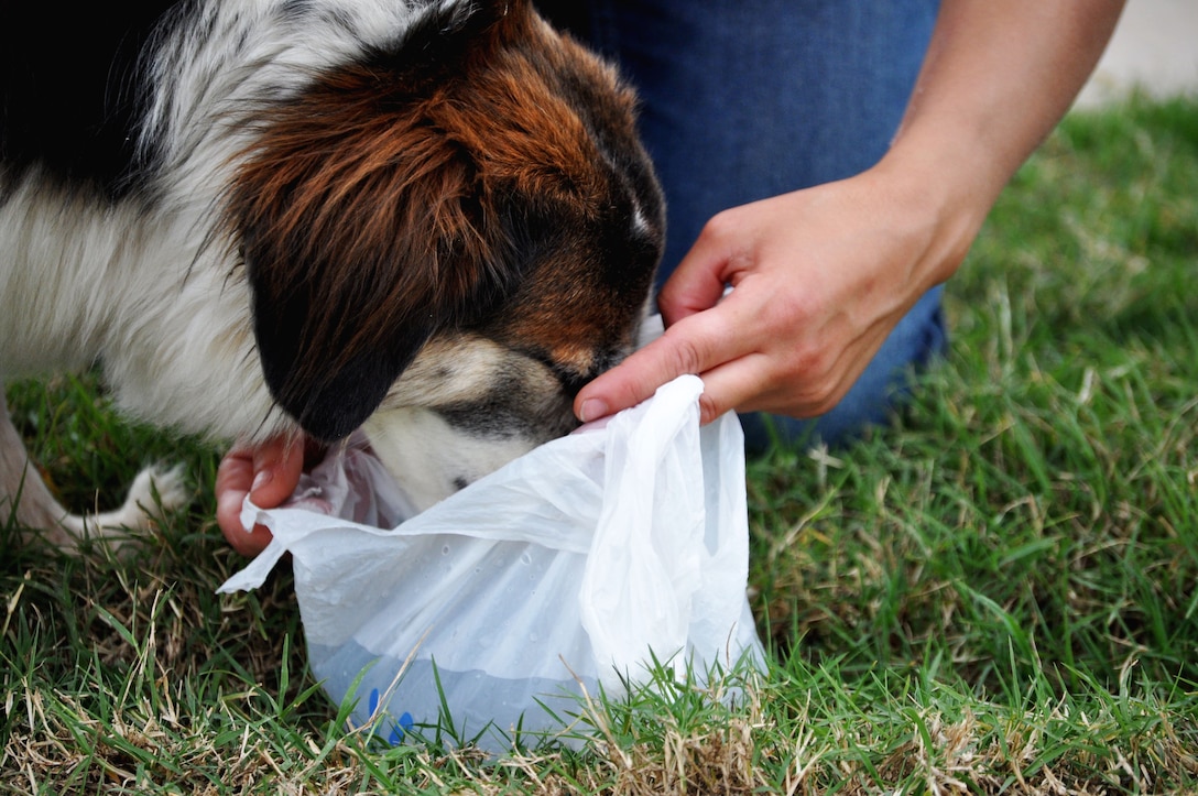 Airman Basic Brittany Orellan, 363rd Training Squadron, Sheppard Air Force Base, Texas, gives “Twister” water out of a makeshift bowl created from a plastic bag. The dog was found wandering among the remains of houses torn apart by the EF-5(Enhanced Fujita Scale) tornado that ripped through Moore, Okla. May 20. The tornado was reportedly on the ground for 39 minutes and carved a path through neighborhoods for more than 17 miles. Orellana is an Airman in Training in ammunition and is from Mukilteo, Wash. (U.S. Air Force photo/Kimberly Goff /Released)