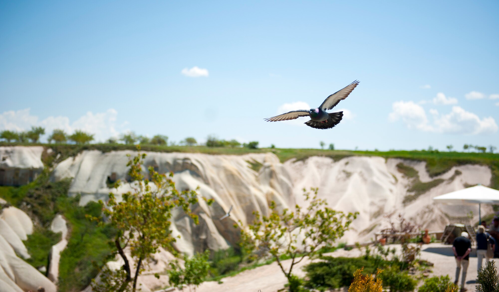 A pigeon flies over Pigeon Valley May 5, 2013, near Uchisar, Turkey. Pigeon Valley is a popular hiking trail in the Cappadocia region of Turkey. (U.S. Air Force photo by Senior Airman Daniel Phelps/Released)