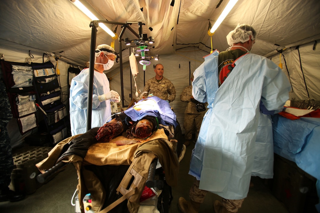 Corpsmen and surgeons with 1st Medical Battalion, 1st Marine Logistics Group, tend to a simulated casualty victim during the first public mass casualty drill aboard Camp Pendleton, Calif., June 5, 2013. Marines and sailors demonstrated their emergency response skills to several friends and families that attended the event. 
