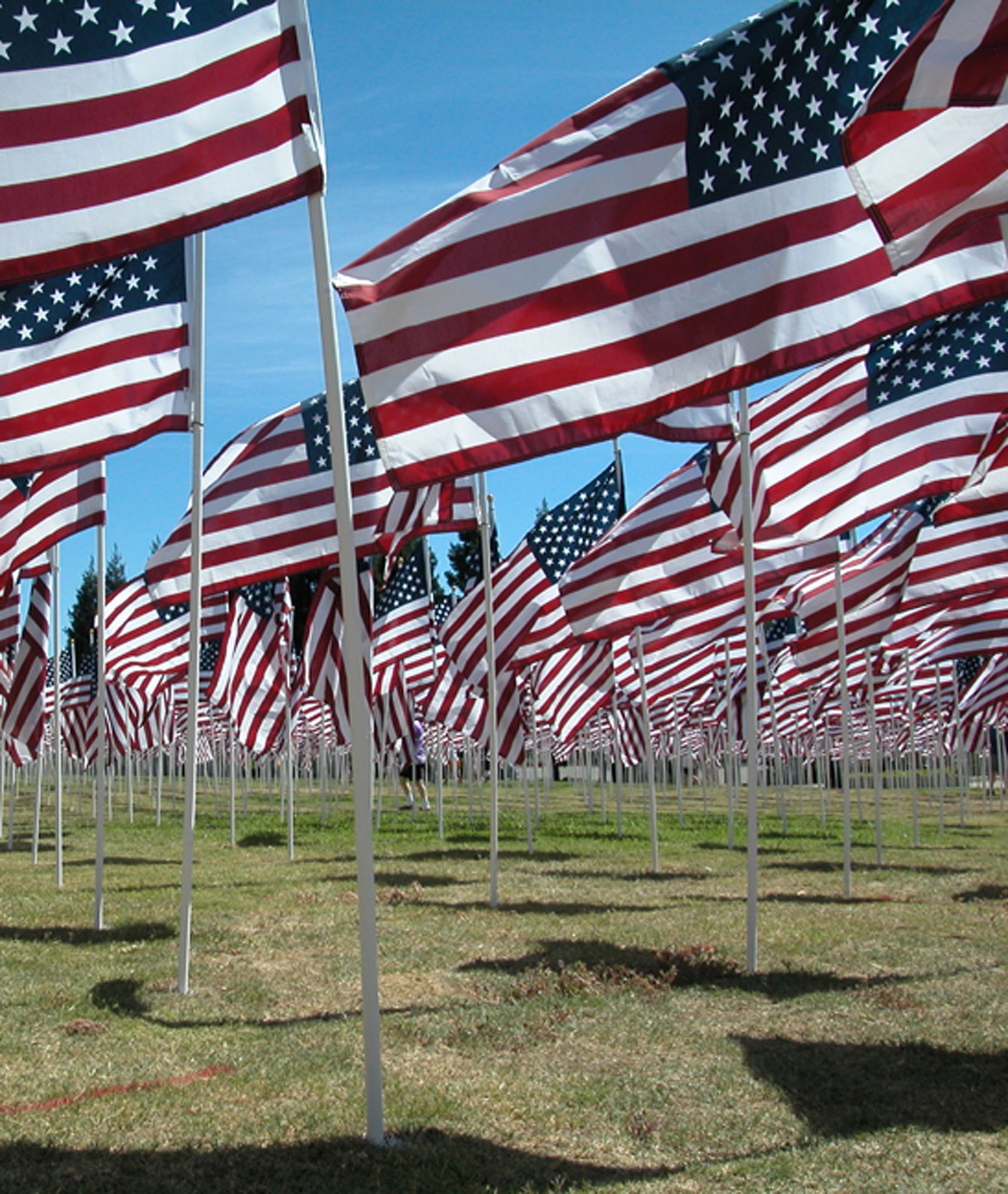 TRAVIS AIR FORCE BASE, Calif. -- Healing Field Memorial made up of 3,031 American Flags, one for each victim lost on 9/11. (U.S. Air Force photo / Patricia Schwab-Holloway)