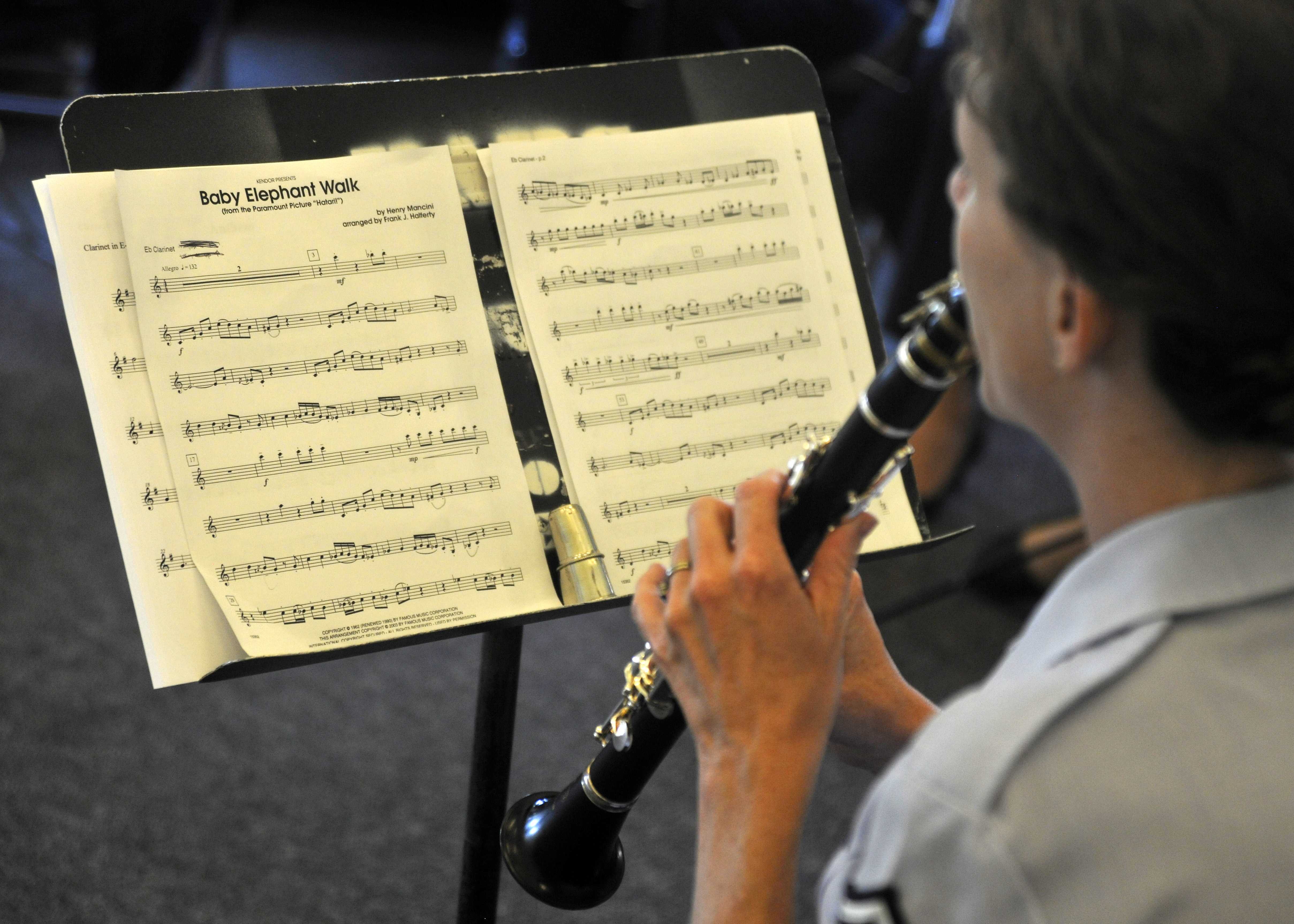 Clarinet Choir Entertains Cdc Ii Students