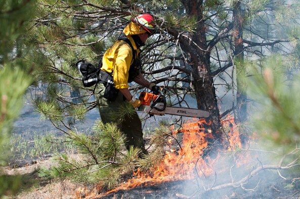 An Air Force Academy firefighter cuts down a tree in an attempt to control the spread of the Black Forest Fire June 12, 2013. A total of 16 Academy personnel and five vehicles are assisting with fire efforts alongside firefighters from Peterson and Schriever Air Force bases, Fort Carson's 4th Infantry Division and the Colorado National Guard. (U.S. Air Force photo/Master Sgt. Christopher DeWitt)