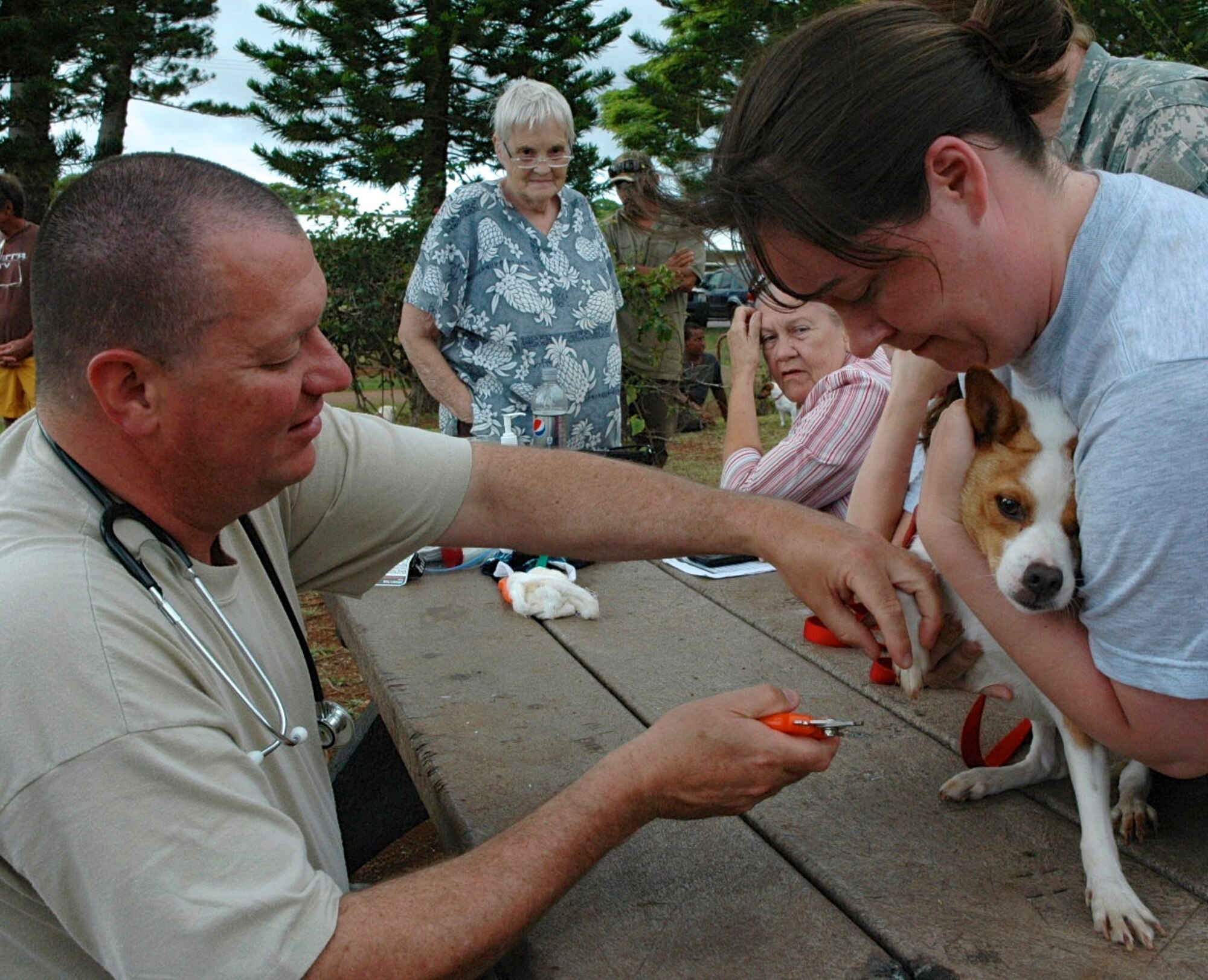 Reserve personnel offered a veterinary clinic on Lanai during TROPICARE 13, June 2-15, 2013. Participants in the medical Innovative Readiness Training event provide free medical, dental and vision care to underserved citizens and also participated in a variety of community services projects while on the Hawaiian island. (U.S. Air Force photo / Dana Lineback)