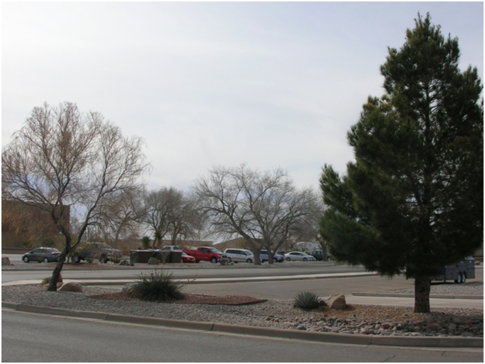 Example of “urban forestry” at Tabosa and New Mexico Avenue 