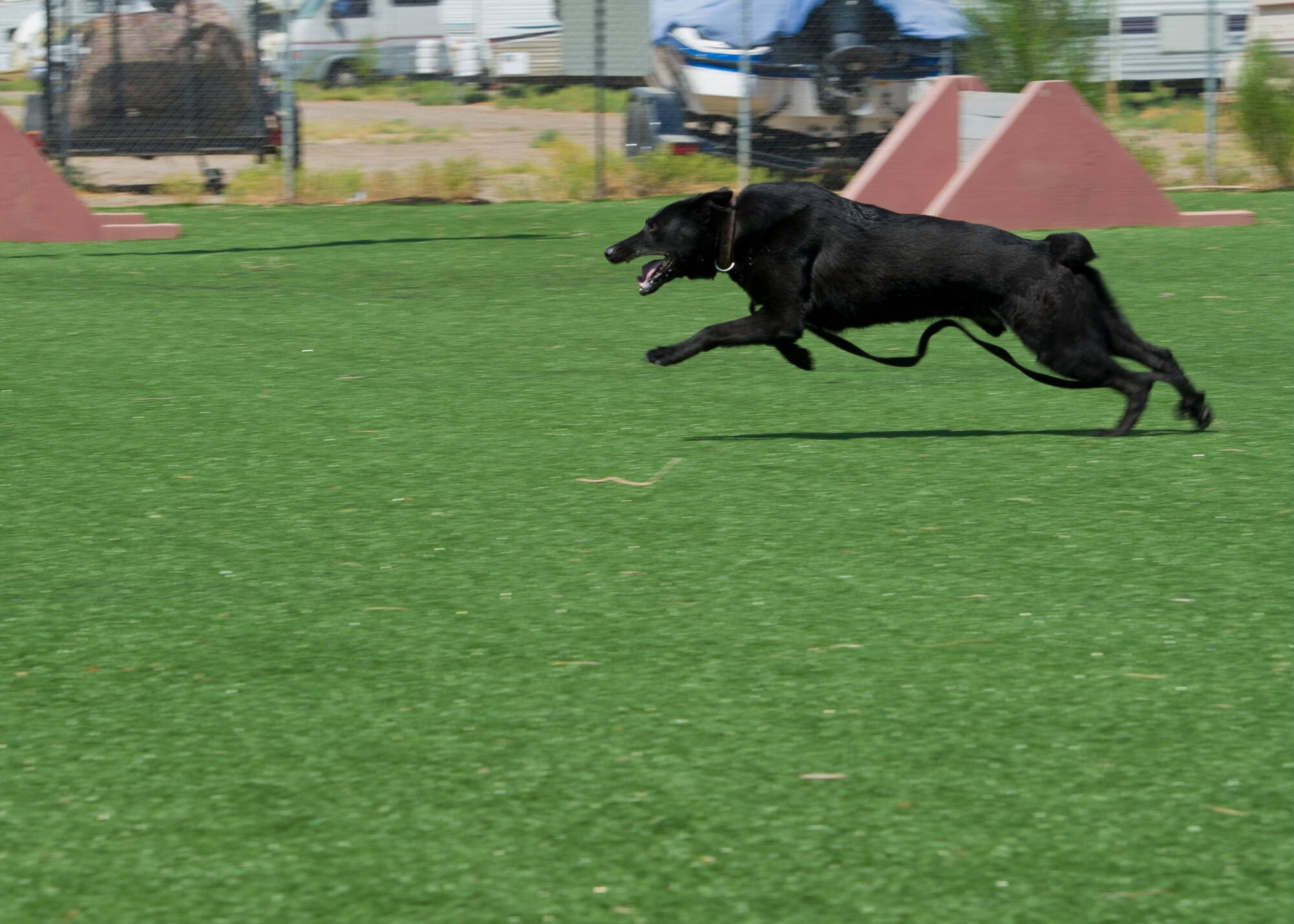 Military Working Dog Vuklan, 49th Security Forces Squadron, sprints in pursuit of a decoy target, played by a K-9 handler, during aggression training at Holloman Air Force Base, N.M., June 14. Military working dogs are trained to react quickly to the K-9 handler’s commands. (U.S. Air Force photo by Airman 1st Class Aaron Montoya/Released)