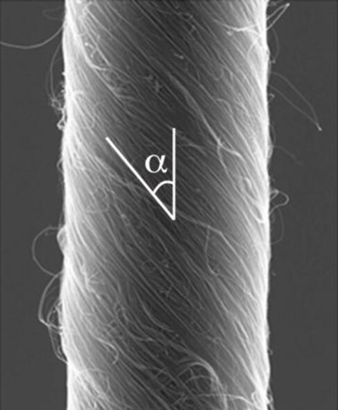 A scanning electron micrograph image of a 3.8-micron diameter carbon nanotube yarn that functions as a torsional muscle when filled with an ionically conducting liquid and electrochemically charged. The angle indicates the deviation between nanotube orientation and yarn direction for this helical yarn. (Image courtesy of the University of Texas at Dallas)