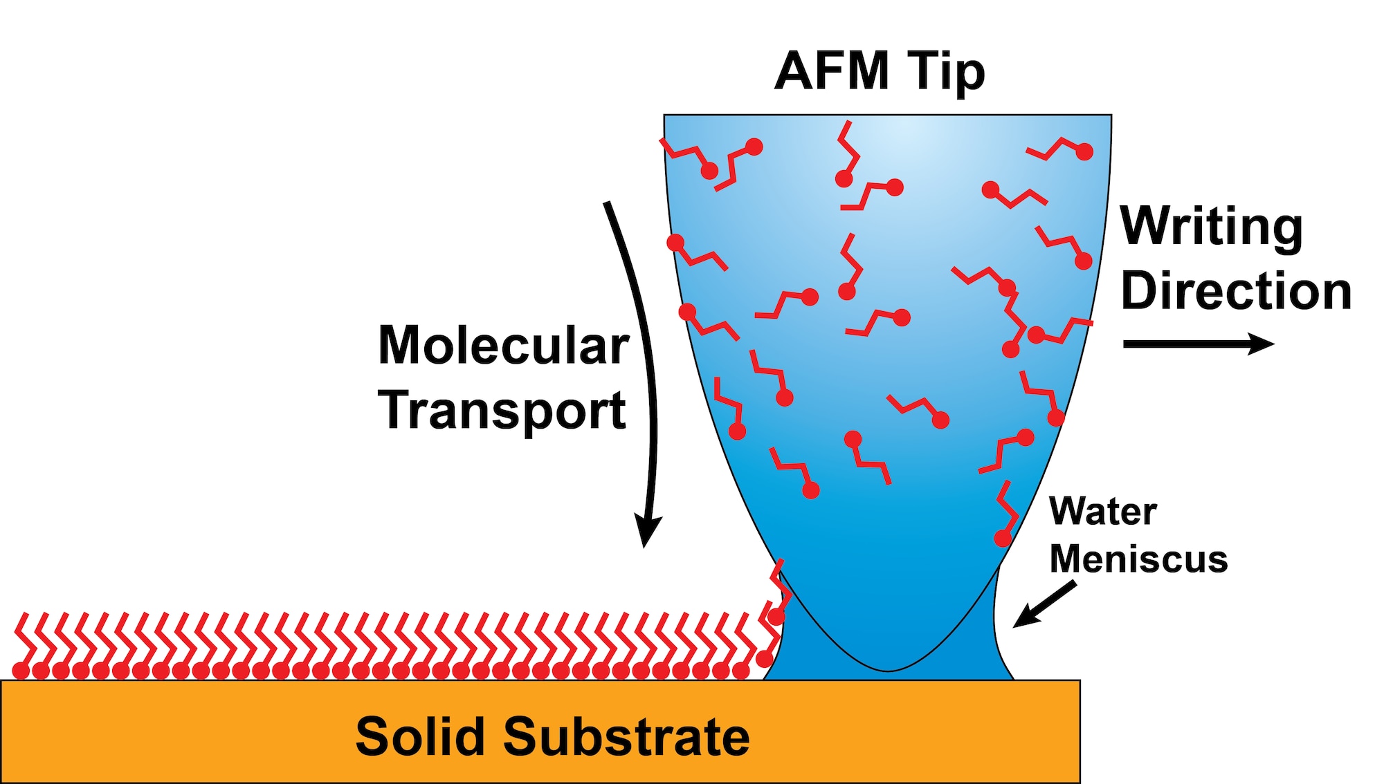 Schematic of molecular deposition by DPN through a water meniscus formed between the scanning probe tip and the substrate surface.  (AFRL Image)
