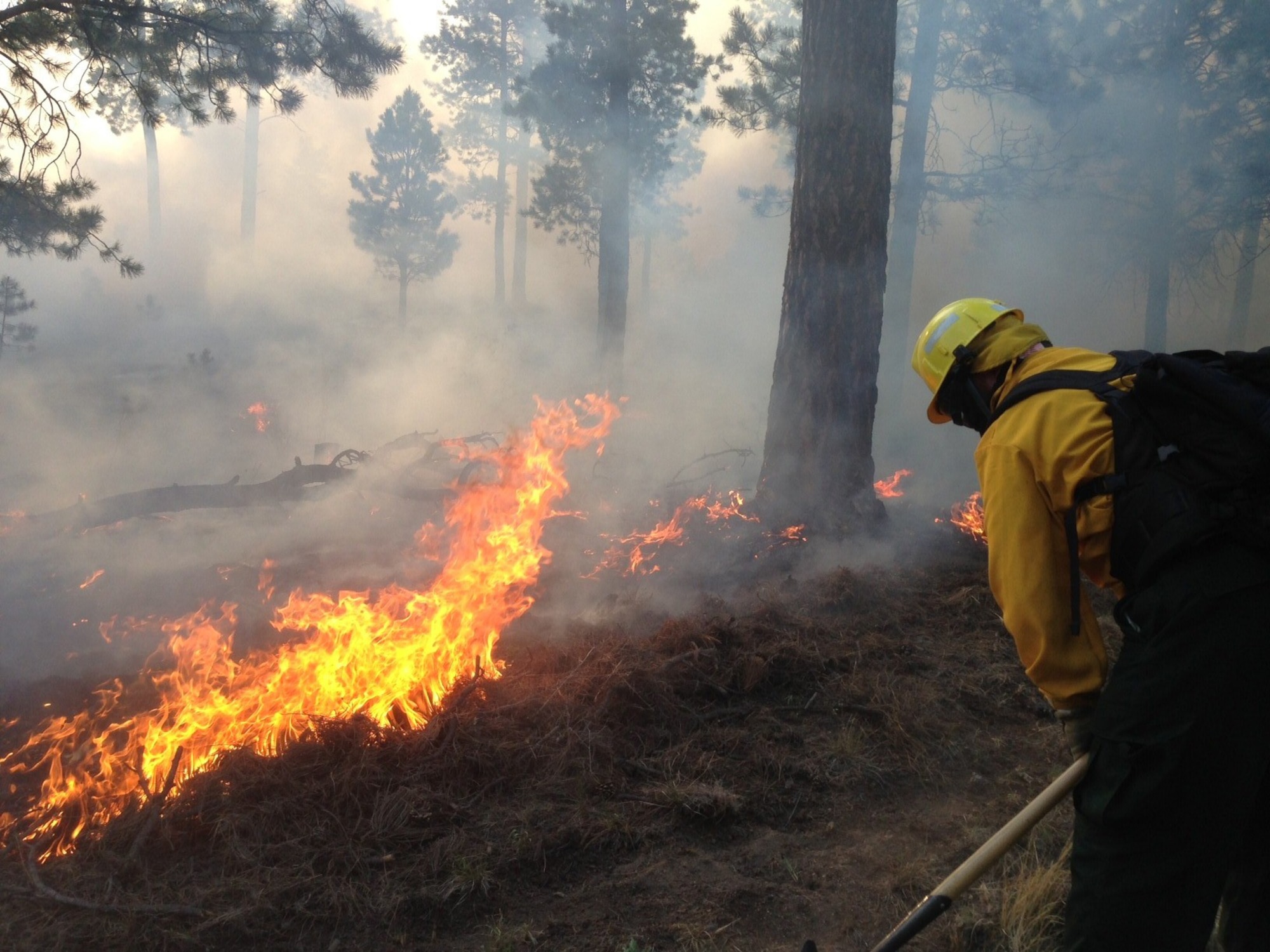 A firefighter from the 721st Civil Engineer Squadron fire department at Cheyenne Mountain Air Force Station builds a firebreak to mitigate the raging Black Forest Fire north of Colorado Springs June 12. Fire fighters and other emergency service personnel have worked around the clock to extinguish the fire that began June 11. The 21st Space Wing is providing two fire trucks and 13 firefighters in response to requests under a mutual aid agreement with El Paso County Sheriff’s Department, as well as providing shelter for DOD personnel displaced by the fire. (U.S. Air Force photo)