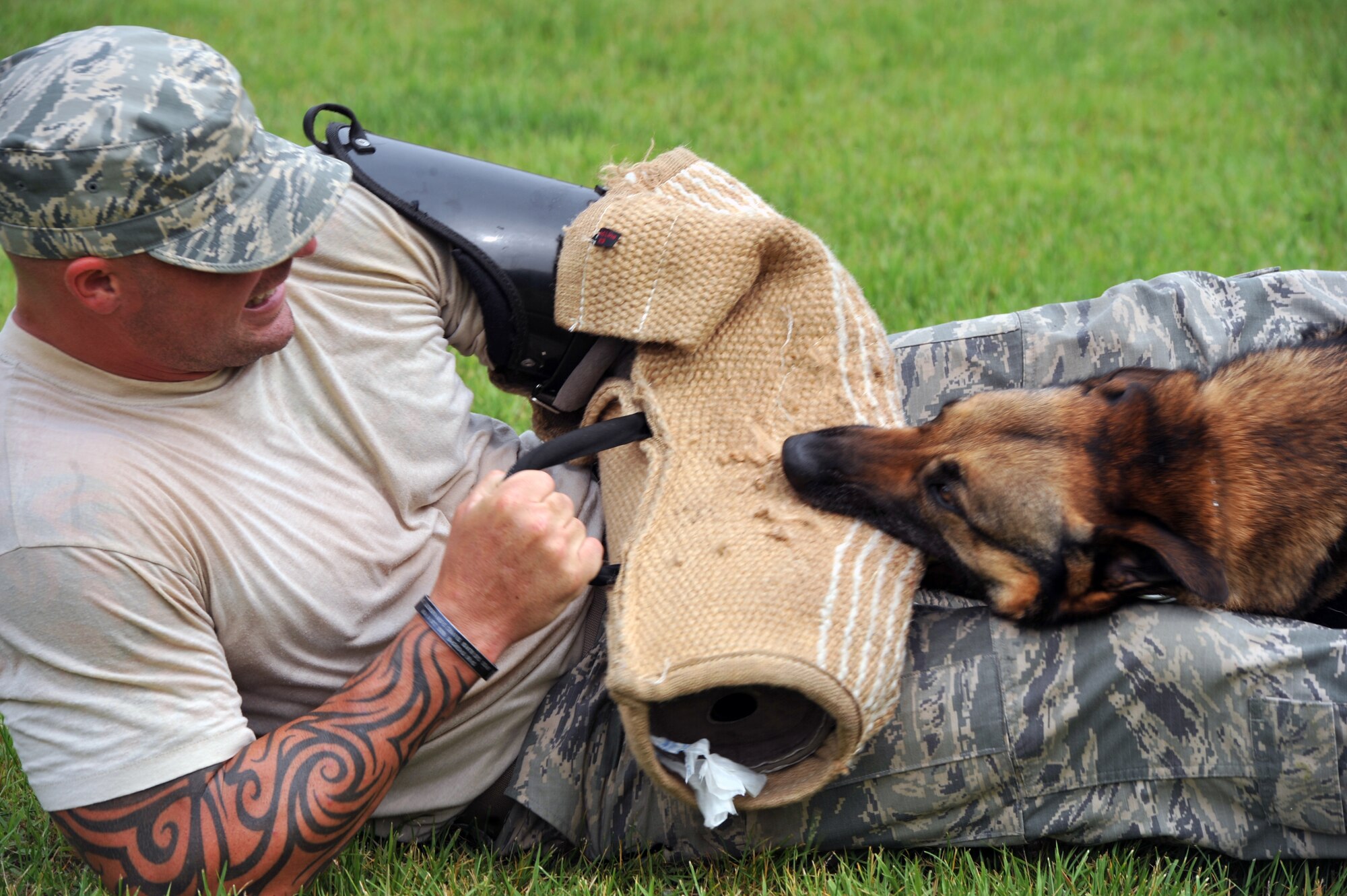 Military Working Dog Zeus bites Staff Sgt. Adam Wylie, 51st Security Forces Squadron military working dog trainer, as part of daily training at Osan Air Base, Republic of Korea, June 13, 2013. Handlers and trainers interact with their four-legged partners daily to keep them proficient and confident in their commands. (U.S. Air Force photo/Senior Airman Alexis Siekert)