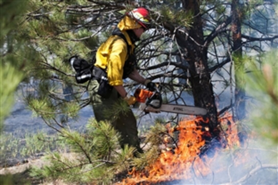 An Air Force Academy firefighter cuts down a tree in an attempt to control the spread of the Black Forest Fire in Colorado Springs, Colo., June 12, 2013.