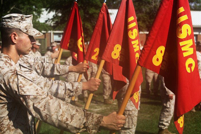 Guidon bearers with 8th Engineer Support Battalion, 2nd Marine Logistics Group post during an award ceremony for Bulk Fuel Company, 8th ESB, 2nd MLG aboard Camp Lejeune, N.C., June 13, 2013.  Bulk Fuel Company won the runner-up for American Petroleum Institute Award for excellence in fuel management award for their ability to manage all fuel responsibilities. 