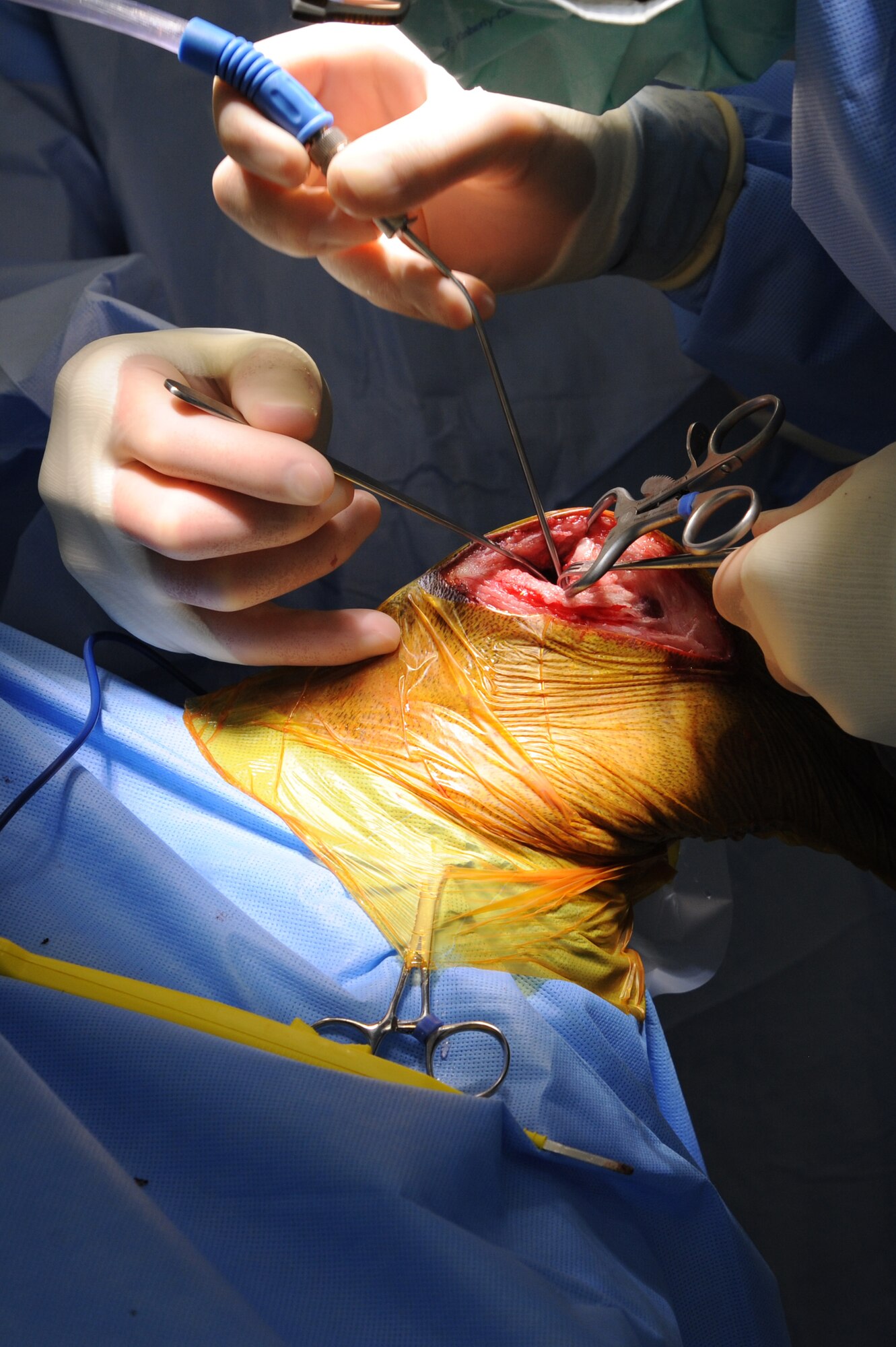 Maj. Kent Vince, Public Health Command District-Northern Europe, Dog Center Europe director, performs surgery on a dog’s leg, June 4, 2013, Pulaski Barracks. The vet clinic sees more than 40 clients a day and does more than 300 vaccinations in a month, making it the second busiest vet facility overseas. (U.S. Air Force photo/Airman 1st Class Hailey Haux)