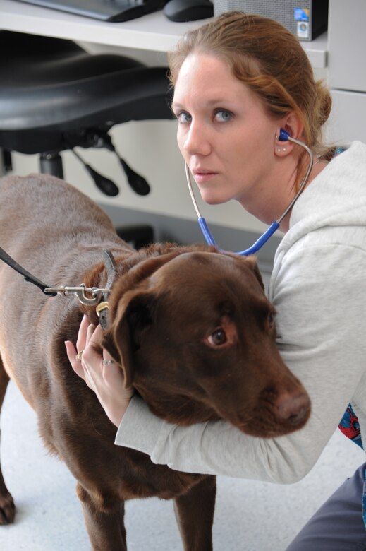 Two paws up for the vet clinic > Ramstein Air Base > Display