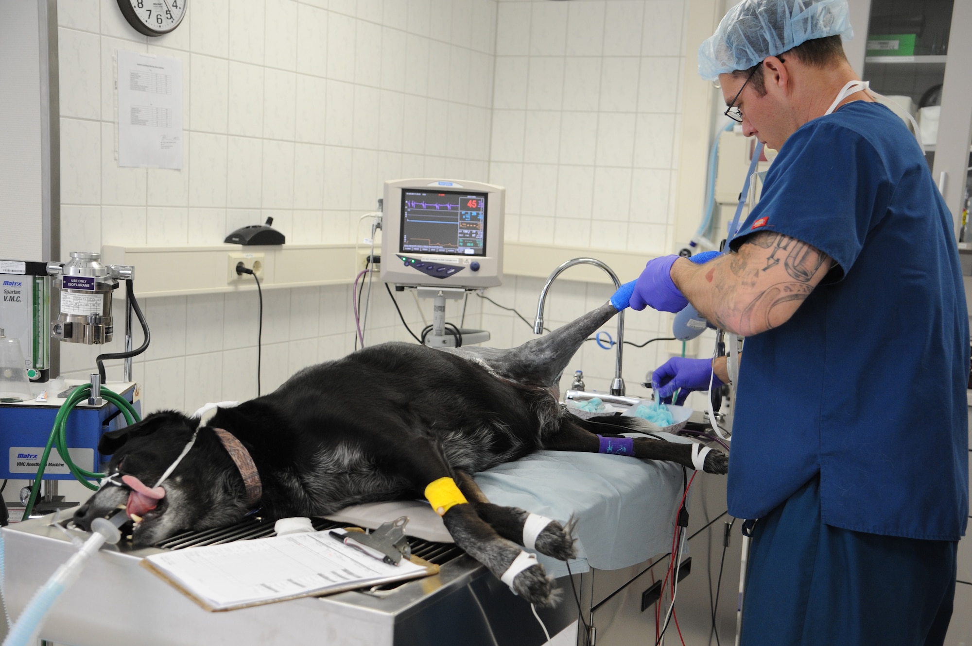 Spc. Matthew Huggett, Public Health Command District-Northern Europe, Dog Center Europe military working dog program Soldier in charge, shaves and cleans Duke’s leg before surgery, June 4, 2013, Pulaski Barracks. The vet clinic sees more than 40 clients a day and does more than 300 vaccinations in a month, making it the second busiest vet facility overseas. (U.S. Air Force photo/Airman 1st Class Hailey Haux)