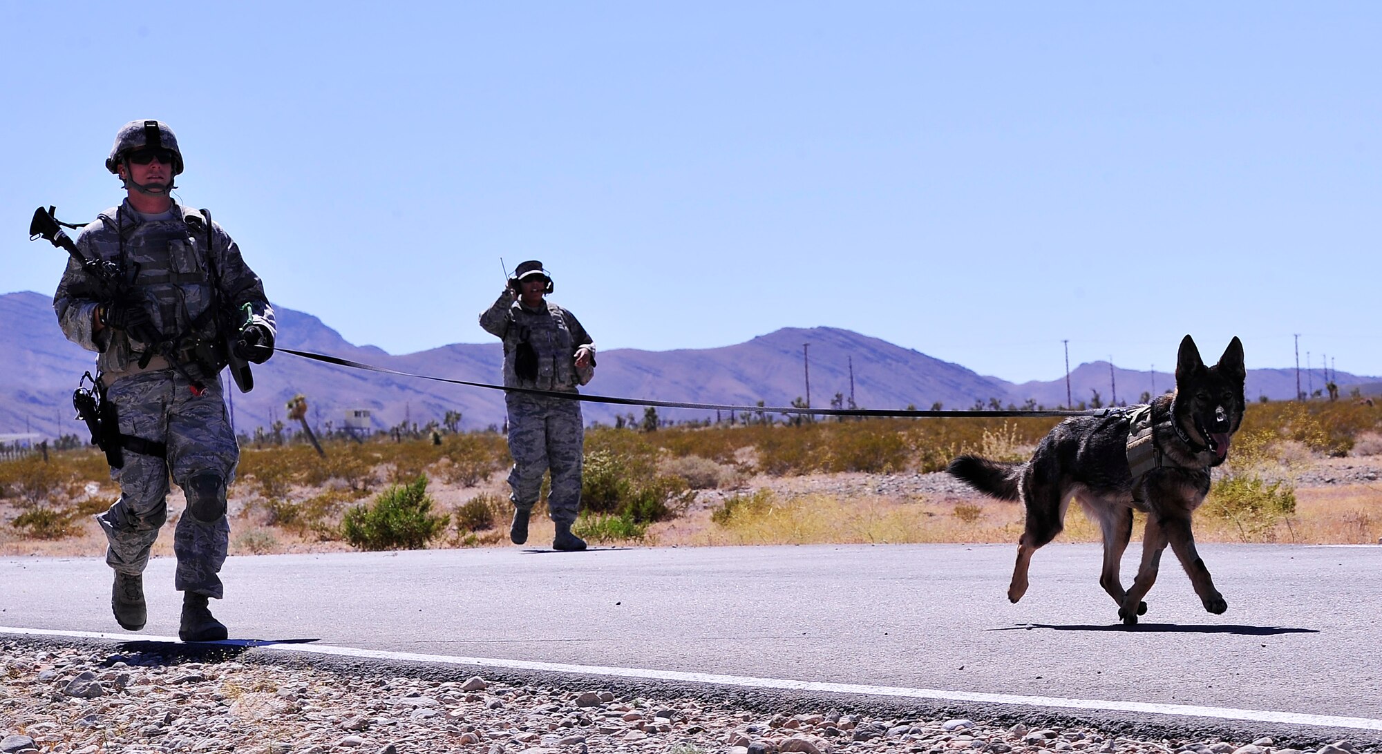 NEVADA TEST AND TRAINING RANGE, Nev. -- A 99th Ground Combat Training Squadron military working dog and its handler perform a sweep for pre-planted devices during a training exercise outside of Las Vegas June 14, 2013.  During the course, Airmen receive specialized vehicle, technology and weapons training specifically tailored to their individual missions.  (U.S. Air Force photo by Staff Sgt. D.H./Released)