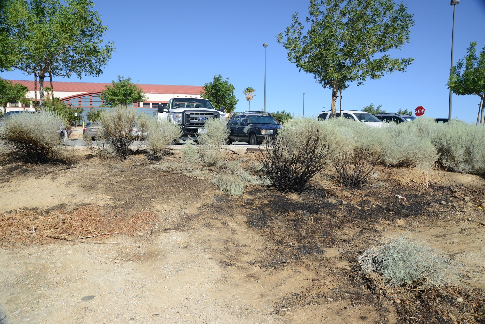 A small but potentially disastrous fire was extinguished by the Edwards AFB Fire Department June 17 in front of the 412th Medical Group's Main Clinic. The cause of the fire is blamed on an inproperly extinguished cigarette butt. (U.S. Air Force photo by Kenji Thuloweit)