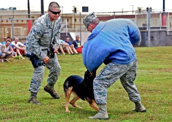 Chief Master Sgt. James Slisik, 36th Wing command chief, fights off a military working dog June 14, 2013, during a MWD demonstration at the Dorm Dweller and Deployer Appreciation Day event on Andersen Air Force Base, Guam. The day’s festivities also included a flag football tournament, open use of the base pool, a giant slip and slide, corn-hole toss, ladder golf, hula dance performances and a first sergeant and commander dunk tank. (U.S. Air Force photo by Airman 1st Class Marianique Santos/Released) 
