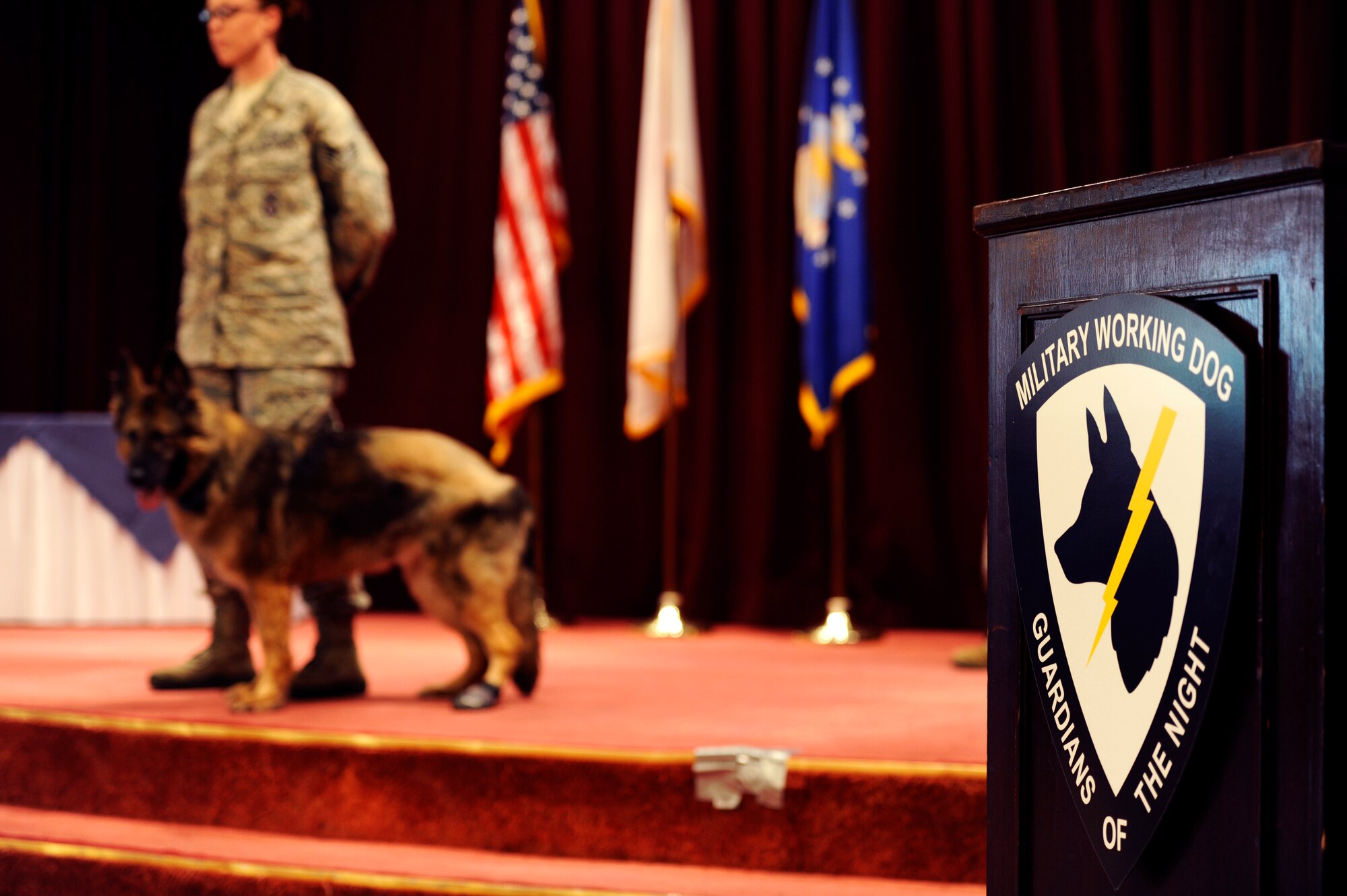 U.S. Air Force Staff Sgt. Codi Carter, 18th Security Forces Squadron military working dog trainer, stands with retiring MWD Shara during a MWD retirement ceremony on Kadena Air Base, Japan, June 13, 2013. During the retirement, four Air Force MWDs, Missa, Shara, Nemo and Zina, were retired and adopted by their final handlers after numerous years of service. (U.S. Air Force photo by Senior Airman Maeson L. Elleman/Released)