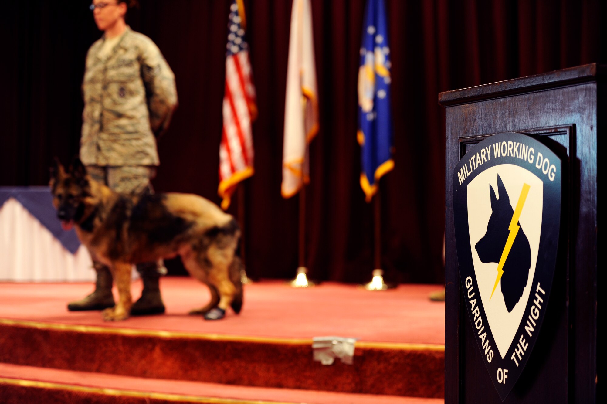 U.S. Air Force Staff Sgt. Codi Carter, 18th Security Forces Squadron military working dog trainer, stands with retiring MWD Shara during a MWD retirement ceremony on Kadena Air Base, Japan, June 13, 2013. During the retirement, four Air Force MWDs, Missa, Shara, Nemo and Zina, were retired and adopted by their final handlers after numerous years of service. (U.S. Air Force photo by Senior Airman Maeson L. Elleman/Released)