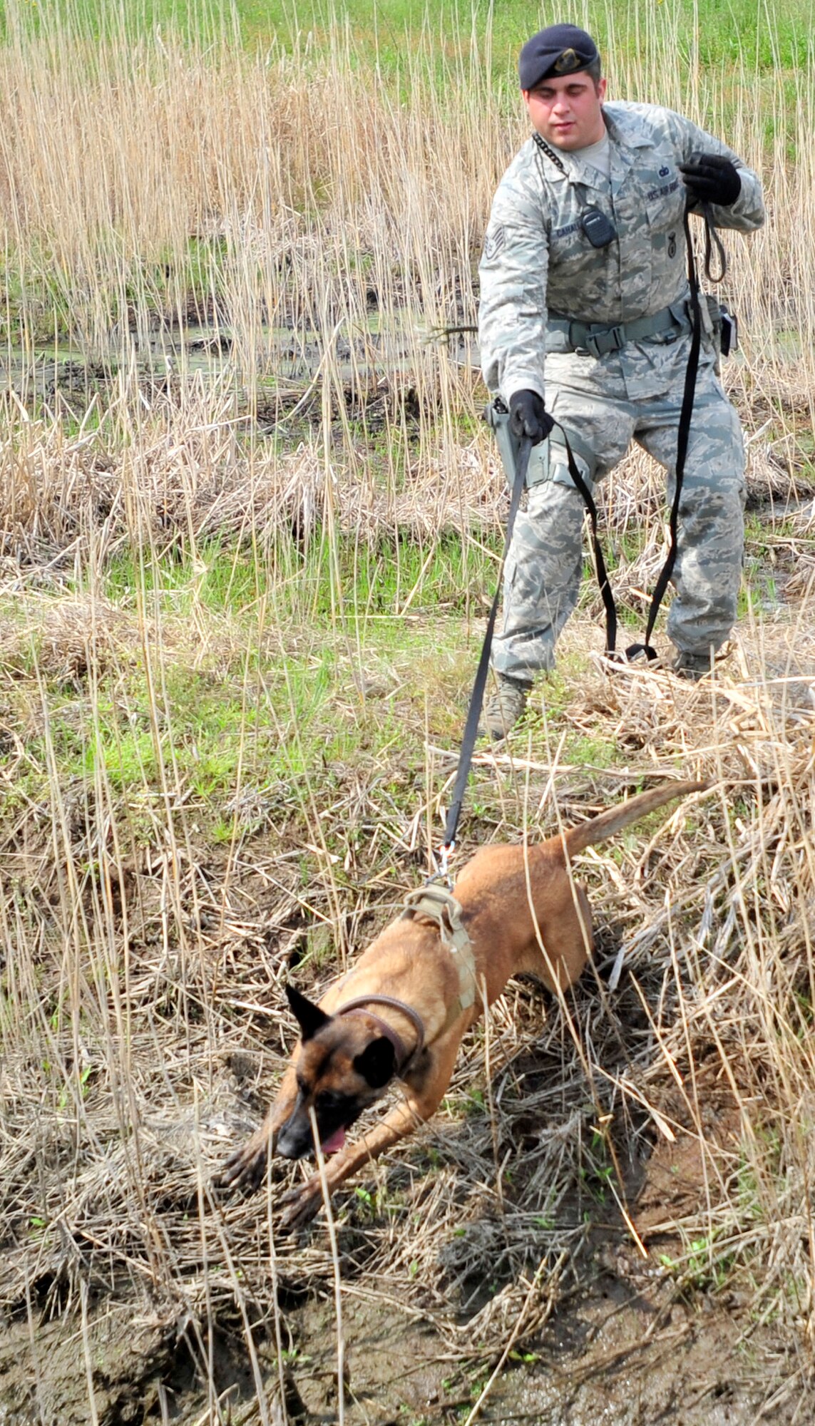 Staff Sgt. Zachary Cahall, 436th Security Forces Squadron dog handler, watches and restrains his dog "Iggy" searches for contraband during a training session May 16, 2013, at Dover Air Force Base, Del. The Dover Air Foce Base Veterinary Clinic's primary mission is to take care of the 436th SFS' military working dogs. (U.S. Air Force photo/Tech. Sgt. Chuck Walker)