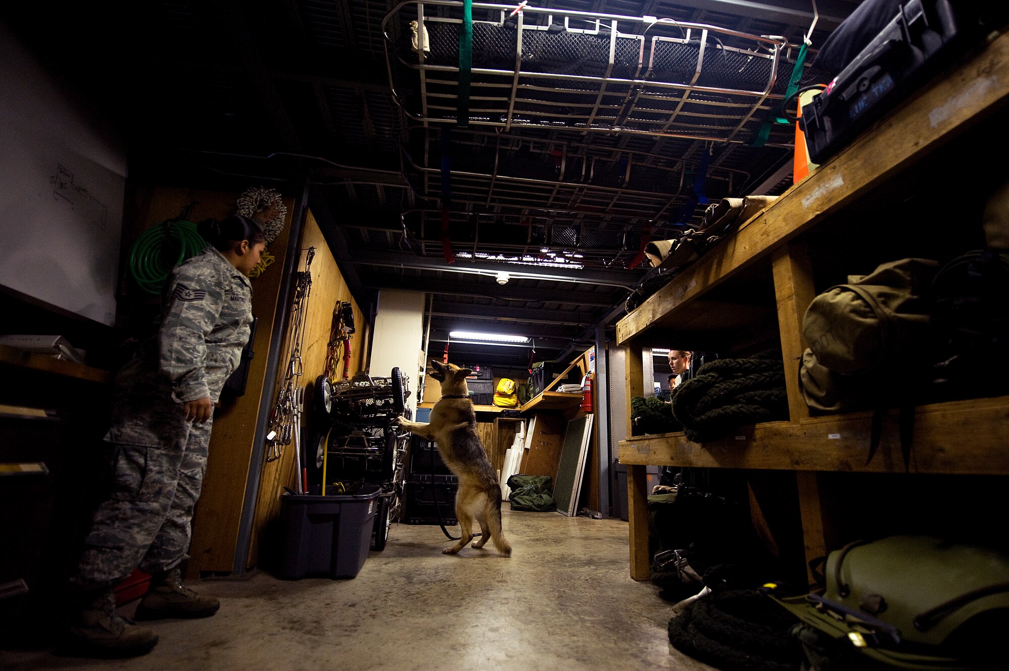 U.S. Air Force Military Working Dog Zina and her handler, Staff Sgt. April Martinez, perform a training search of a building on Kadena Air Base, Japan, May 16, 2013. Zina, along with three other MWDs who retired from the Air Force June 13, conducted nearly 60,000 detector sweeps collectively throughout their careers. (U.S. Air Force photo by Senior Airman Maeson L. Elleman/Released)