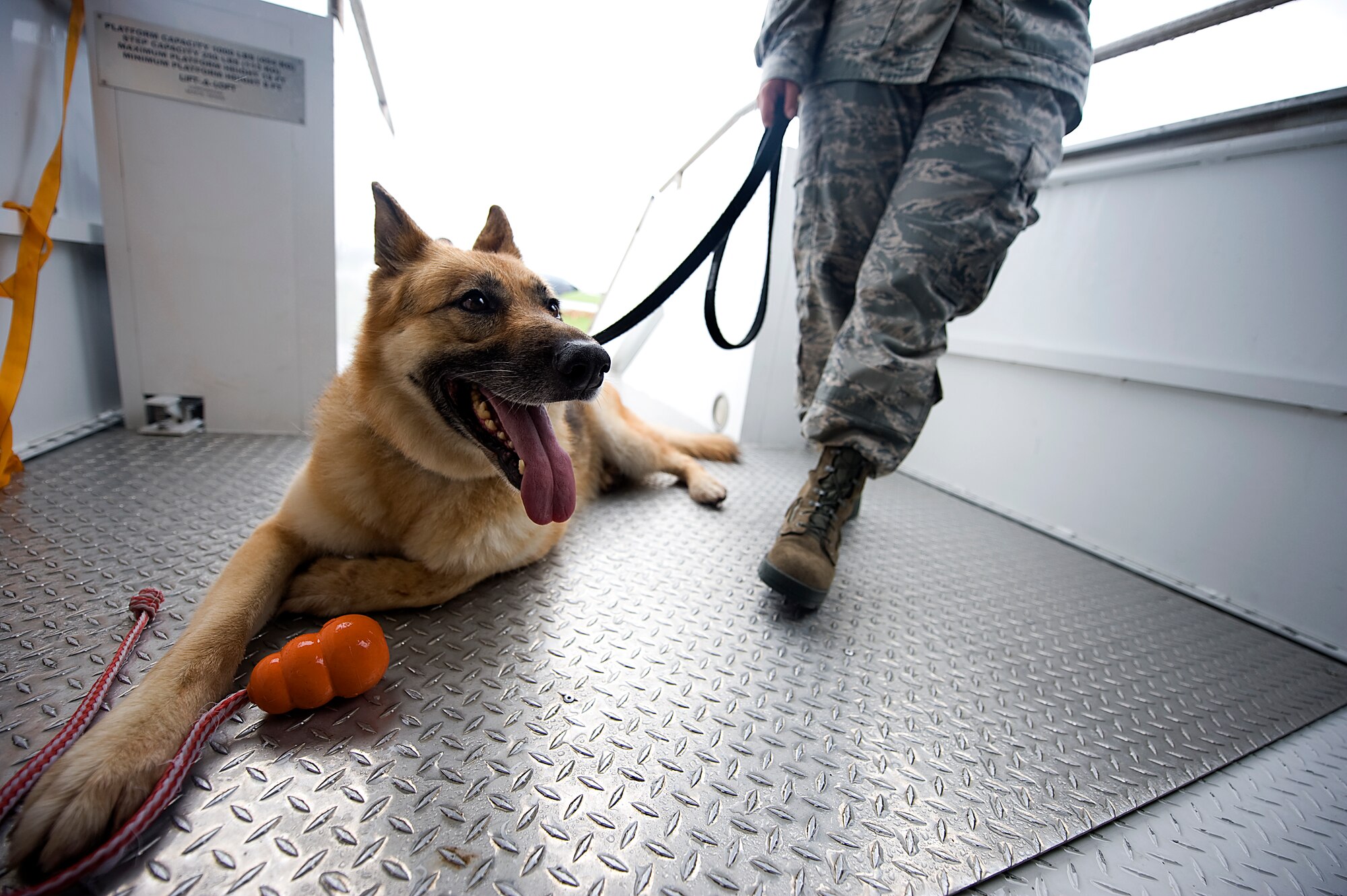 U.S. Air Force Military Working Dog Zina rests on a set of aircraft stairs following a training search of a U.S. Air Force KC-135 Stratotanker refueling aircraft on the Kadena Air Base, Japan, flightline May 16, 2013. Zina is one of four MWDs who retired from the Air Force June 13. During her service, Zina alone has conducted 16,300 detector sweeps. (U.S. Air Force photo by Senior Airman Maeson L. Elleman/Released)