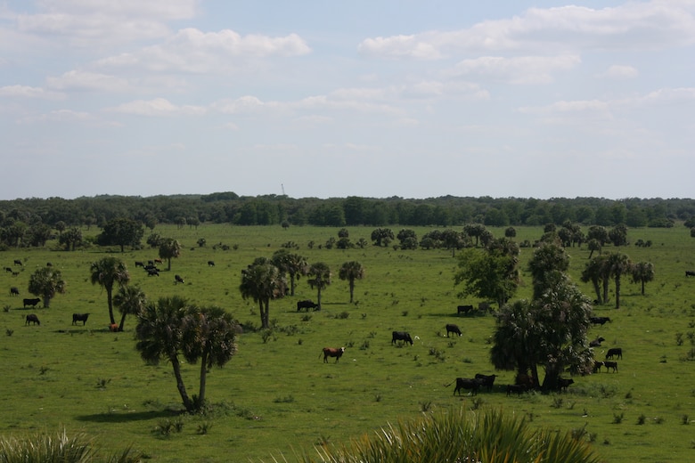 Aliesa “Liesa” Priddy, FWC Commissioner and a rancher, stressed the importance of public-private partnerships on ranch lands, with private property owners like Dwayne House, who also owns this ranch adjacent to Lone Ranger Forge. 