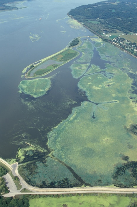 Pool 11 Islands Habitat Restoration and Enhancement Project included the construction of Sunfish Lake.