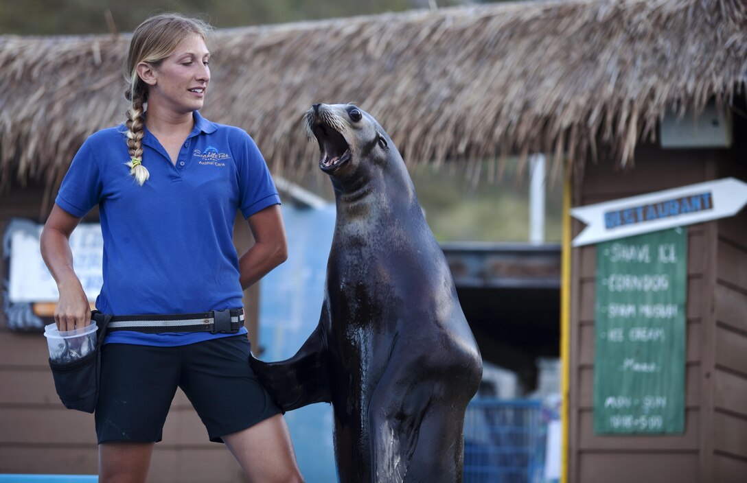 Sea Life Park trainer Kaycie Merrihew and Uilani the sea lion perform during the Kolohe Kai Sea Lion Show during the USO Hawaii’s “Twilight Tribute to the Troops” at Sea Life Park, June 15, 2013. (U.S. Marine Corps photo by Lance Cpl. Janelle Y. Chapman) 