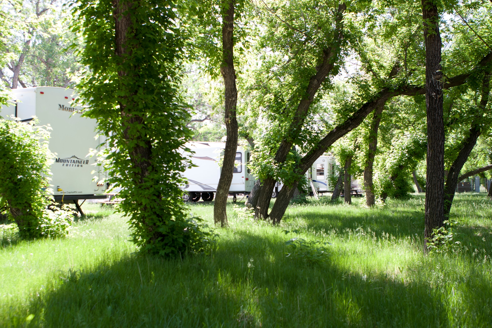 Many of the camper sites offer spectacularly wooded areas such as this one at the Family Camp on F. E. Warren Air Force Base. (U.S. Air Force photo by Matt Bilden)