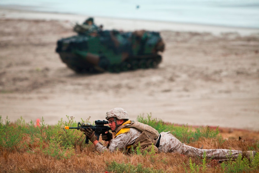 Marines and sailors from 2nd Battalion, 5th Marine Regiment, 3rd Assault Amphibian Battalion, and Naval Beach Group 1 conducted amphibious landings on Red Beach with Assault Amphibious Vehicles (AAV) and both U.S. and Japanese Landing Craft Air Cushions (LCACs) as a part of exercise Dawn Blitz, June 24. Dawn Blitz 2013 is an amphibious exercise testing U.S. and coalition forces in skills expected of a Navy and Marine Corps amphibious task force.