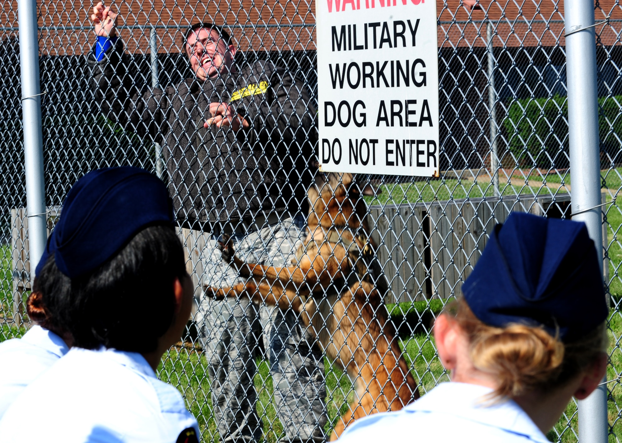 U.S. Air Force Staff Sgt. Kyle Smith, 633rd Security Forces Squadron military working dog handler, acts as a decoy during a military working dog demonstration during U.S. Air Force Junior Reserve Officers’ Training Corps shadow day at Langley Air Force Base, Va., June 25, 2013. AFJROTC cadets looked on as Smith demonstrated what might happen when an individual disobeys the instructions of a MWD handler. (U.S. Air Force photo by Airman Areca T. Wilson/Released)