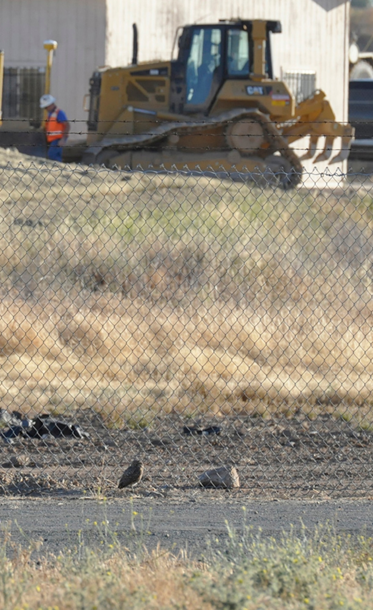 Even with trucks and heavy machinery rumbling away nearby, thanks to protective measures put in place by the Air Force life goes on nearly uninterrupted for a family of owls at the former McClellan Air Force Base in Sacramento, Calif. (U.S. Air Force photo).