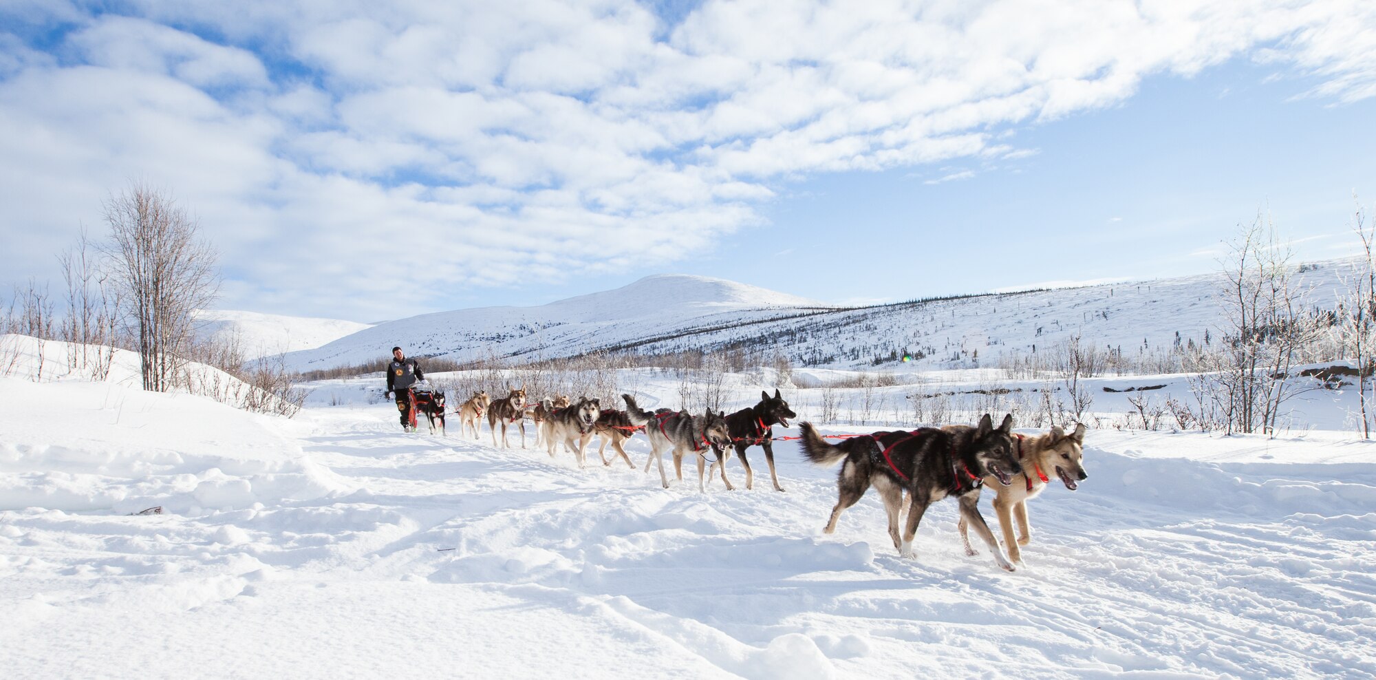 A musher and a team of sled dogs rush toward a checkpoint Feb. 10, 2013, during the annual Yukon Quest. The 1000-mile trail between Fairbanks, Alaska, and Whitehorse, Canada, follows the historic route used in the earlier days of the Last Frontier, which provided a passage to the North. (Courtesy photo/Julien Schroder)