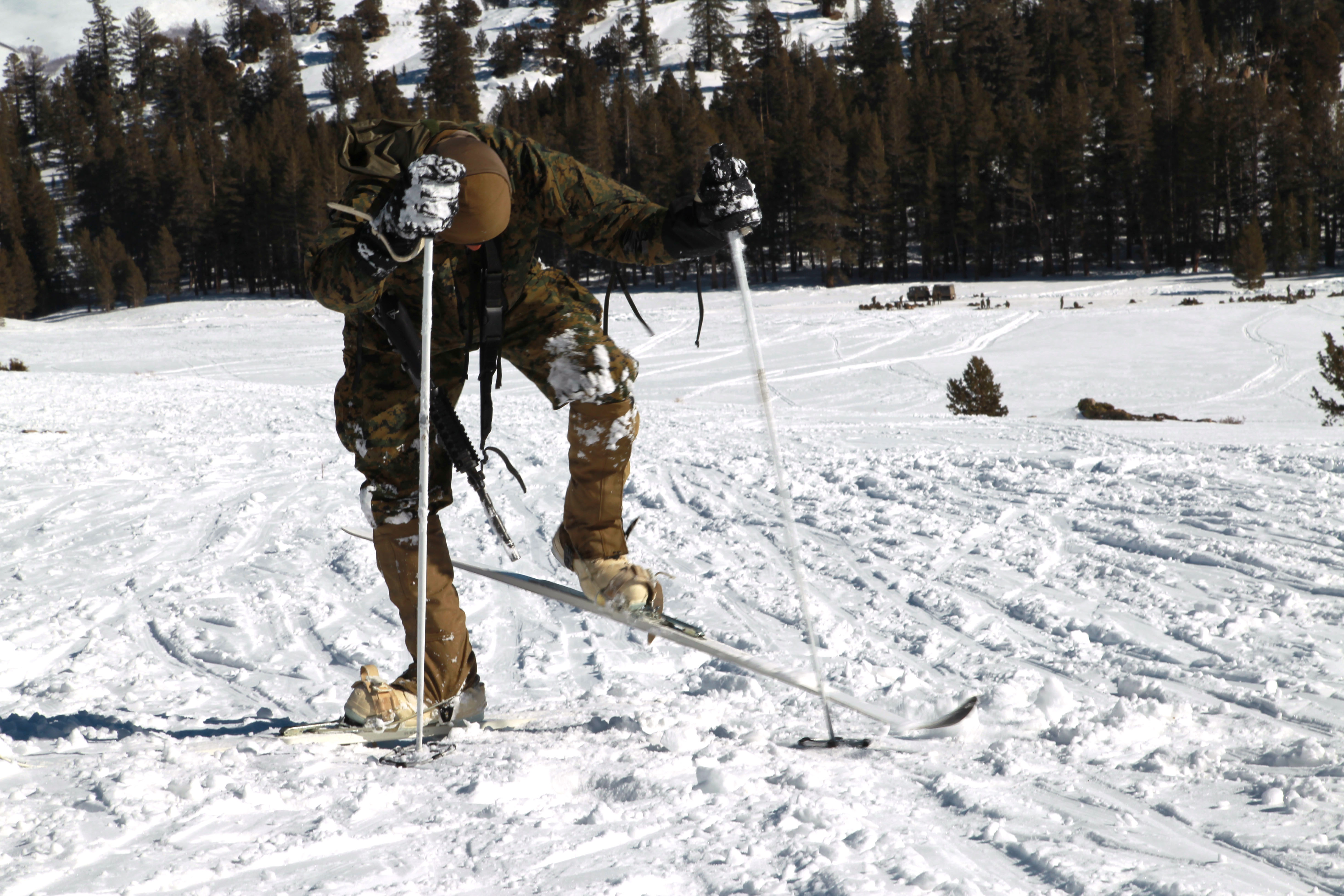 Cross Country Skiing