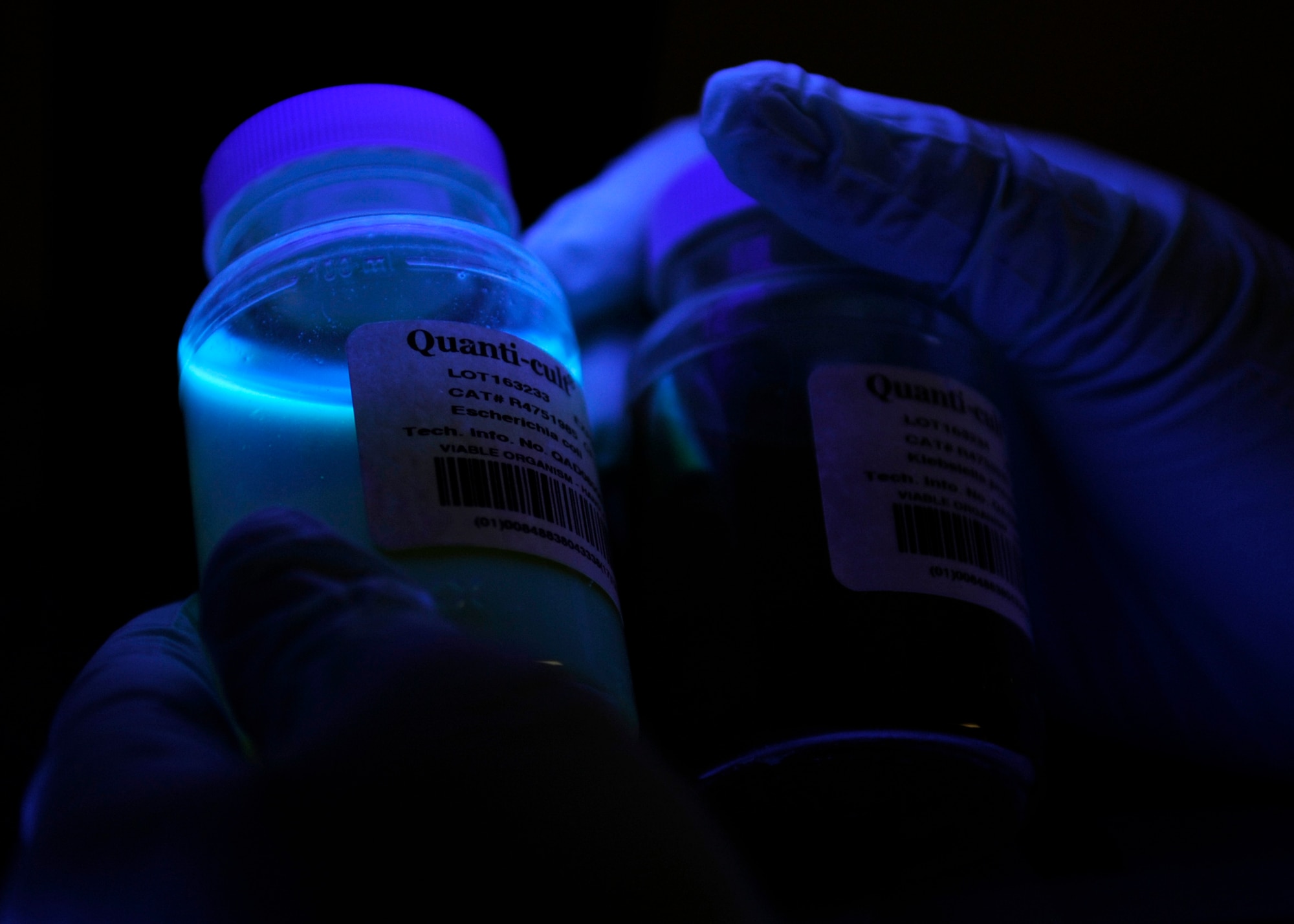 KUNSAN AIR BASE, Republic of Korea –Water samples containing Escherichia coli (E-coli) glow when viewed under a black light while total coli form bacteria do not. E-coli are a form of total coli form, which the 8th Medical Operation Squadron Bioenvironmental Engineering shop here has yet to find in the base’s water source. (U.S. Air Force photo Staff Sgt. Tong Duong)