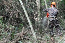 Marine Private First Class William T. Todd with Combat Logistics Detachment 39, 3rd Marine Logistics Group, cuts down a tree during brush clearing operations training Feb. 22, 2013. William was training during exercise Guahan Shield, an exercise designed to facilitate multiservice engagement and provide potential rapid response to theater crises and contingency operations in the Asia-Pacific region.